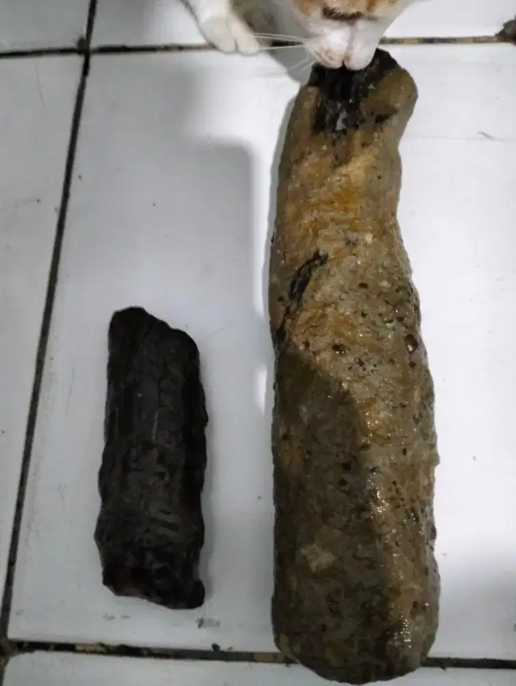 Bahan natural black Opal kalimaya belum kupas tinggal treatment