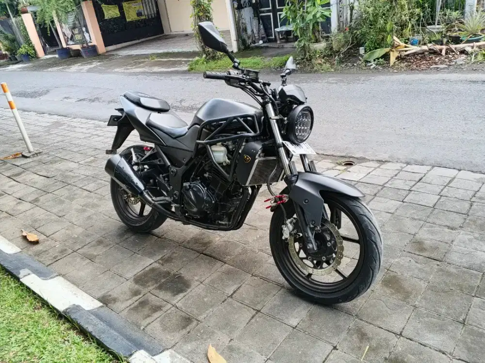 Kawasaki ninja 250R Naked