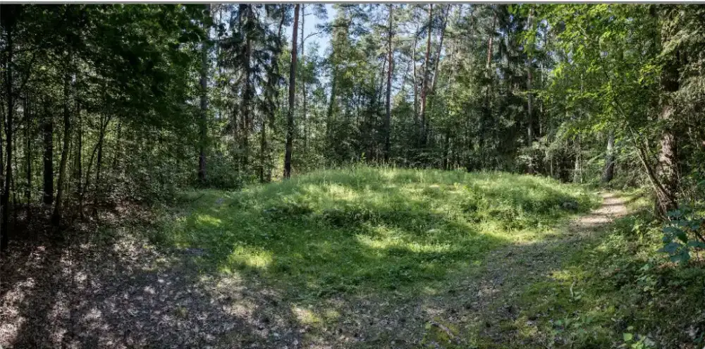 Motor bekas hgdvjcghsdv hgdjshgcvhsgfxh