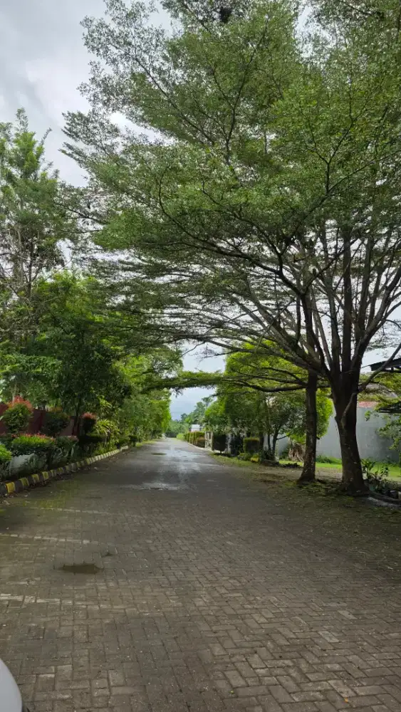 Di jual sebidang tanah lokasi strategis masuk dalam ring 1 Banjarbaru