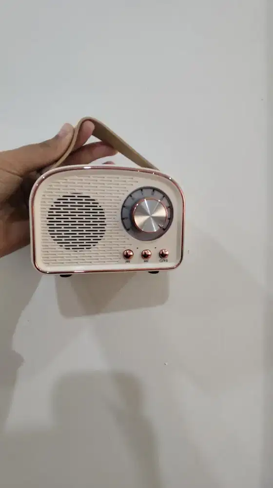 speaker model radio