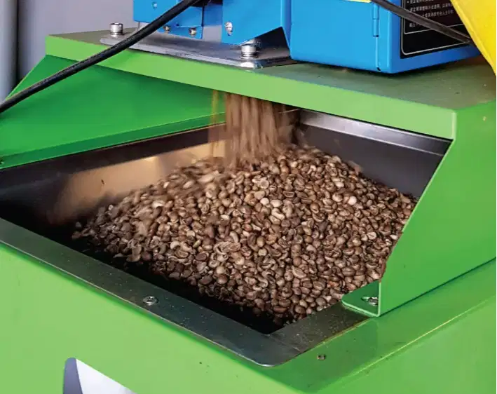 Di Cari Orang untuk Sortir Biji Kopi