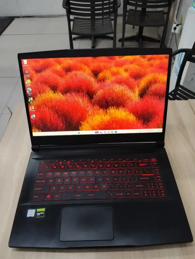 MSI Thin GF63 9RCX  GTX 1050 Ti