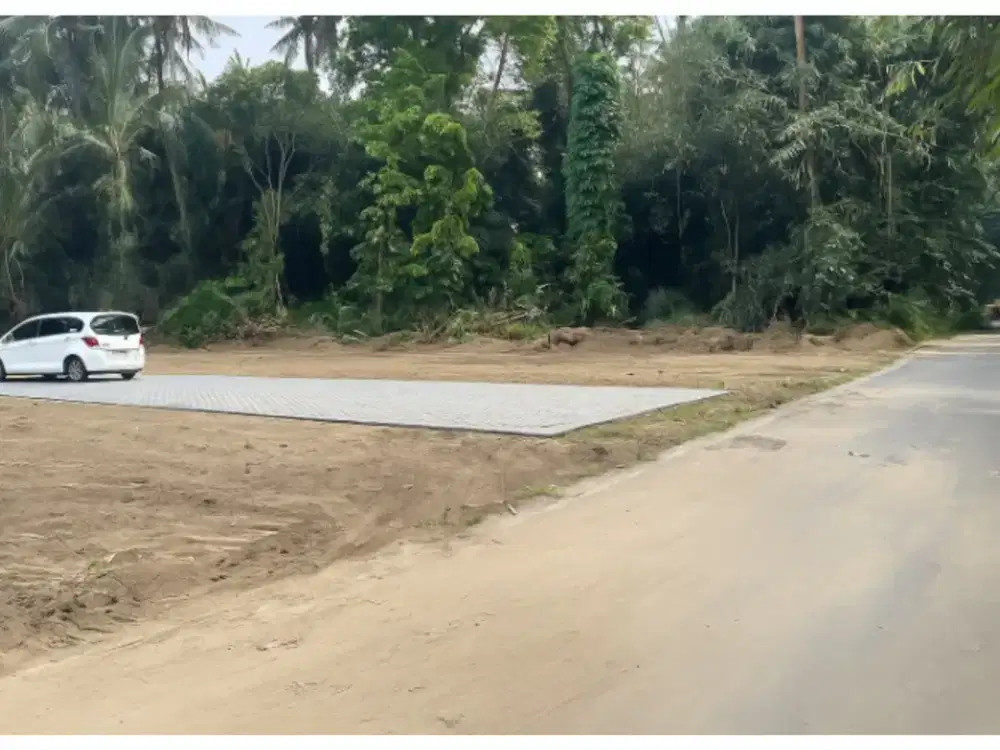 Tanah Setatus Juta-an 195 Jt Di Area Pemda Sleman JL.Magelang