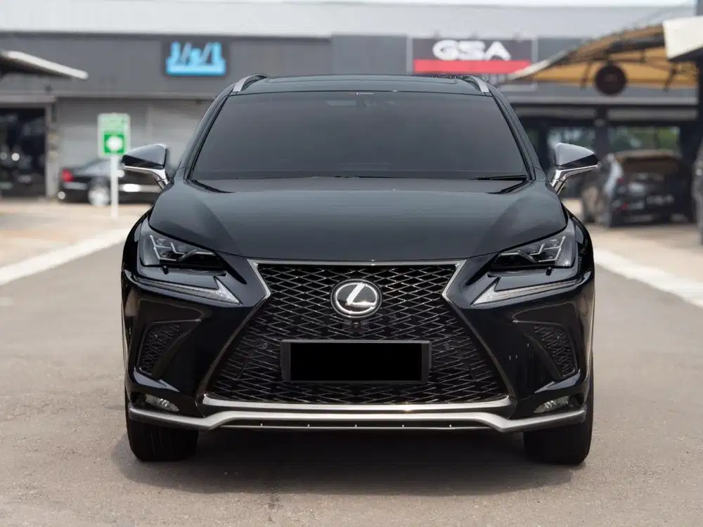 LEXUS NX300 2018