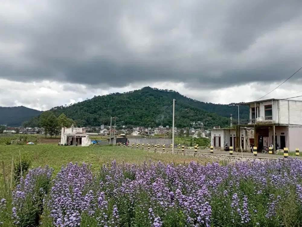 Depan wisata selecta Garansi Pendapatan Pasti Pemandangan Panorama Pegunungan