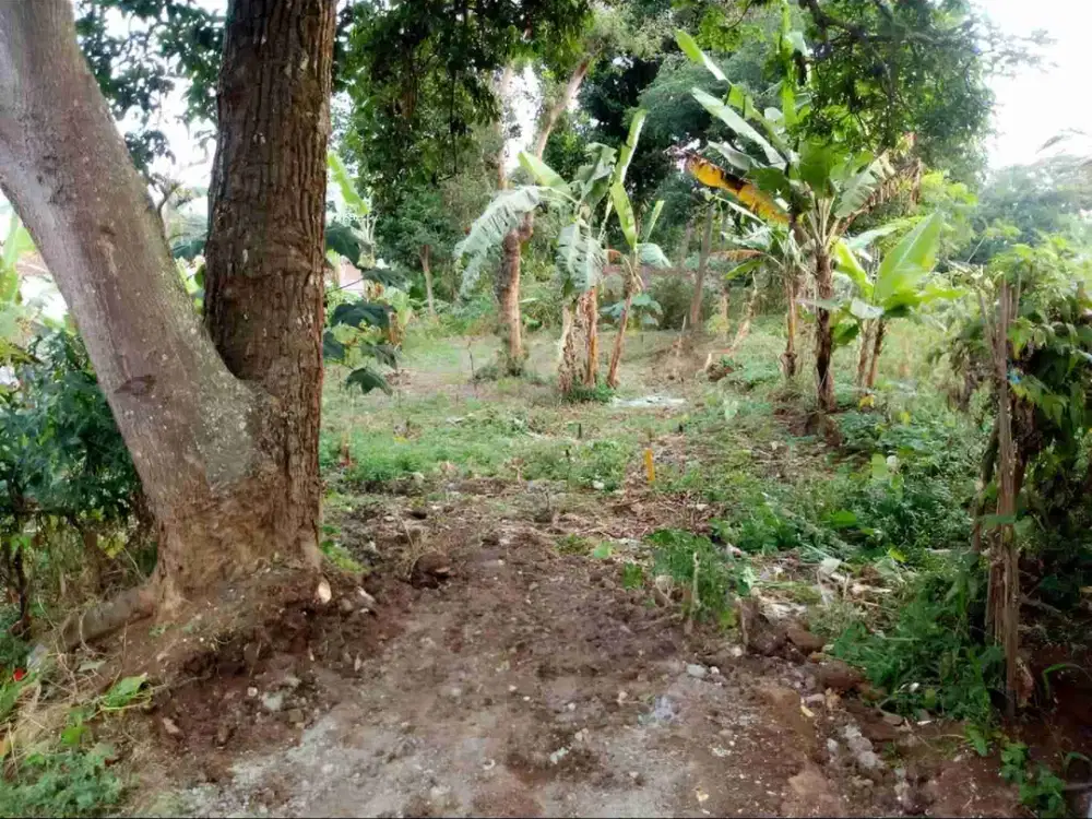 dijual tanah cepat dekat Cimahi SHM