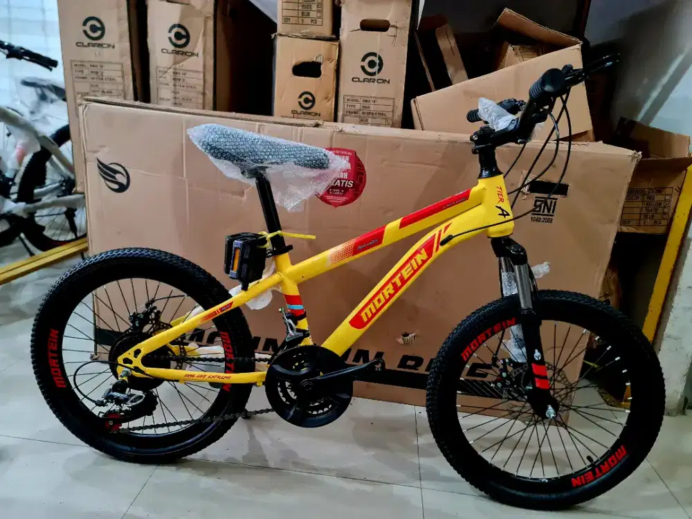 Sepeda MTB 20 Inch PMB MORTEIN