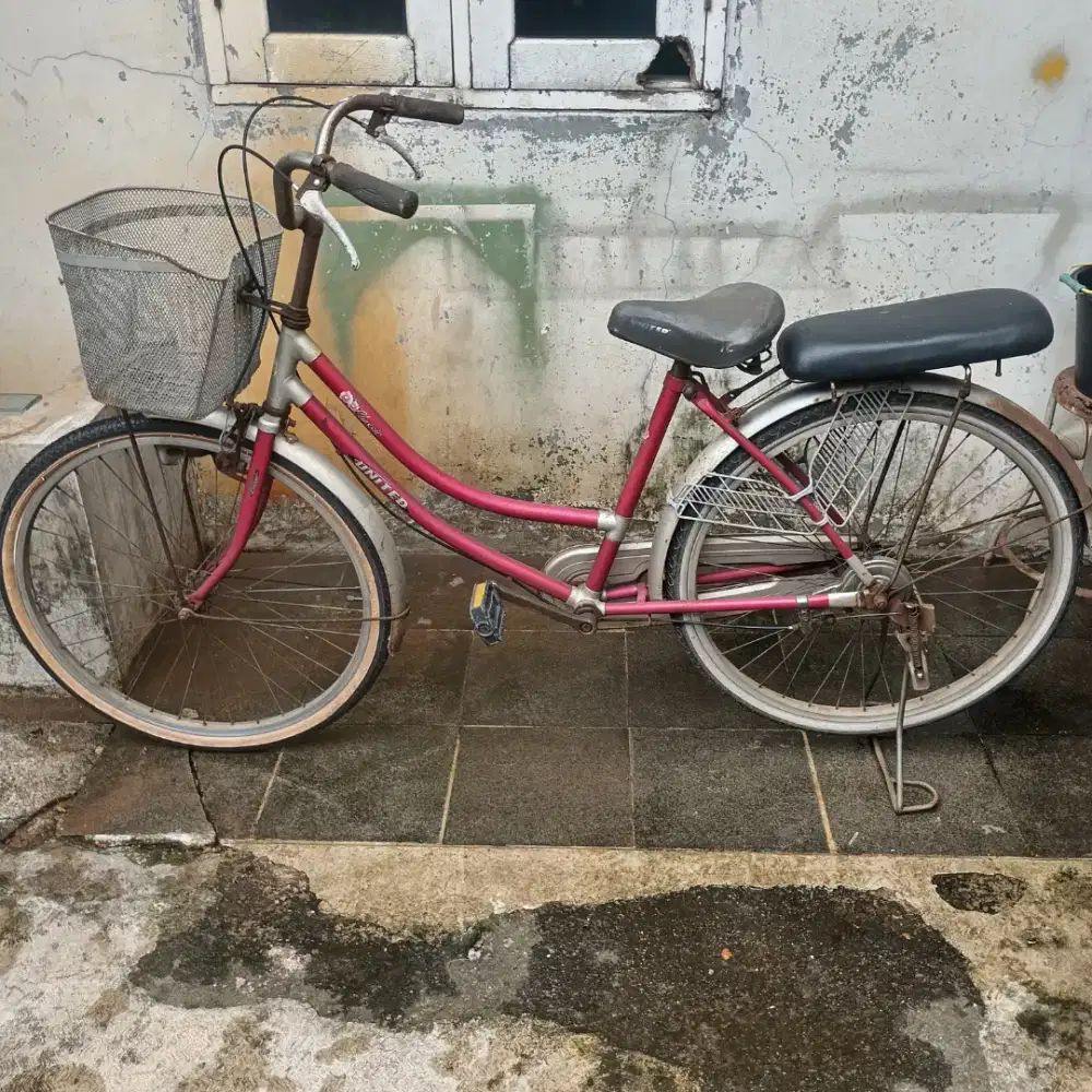 Sepeda Emak2 Kepasar