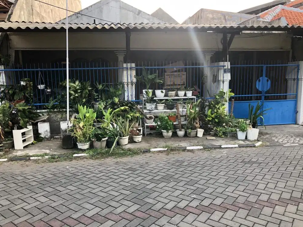 DIJUAL RUMAH DUKUH KUPANG BARAT COCOK UNTUK KOST AN