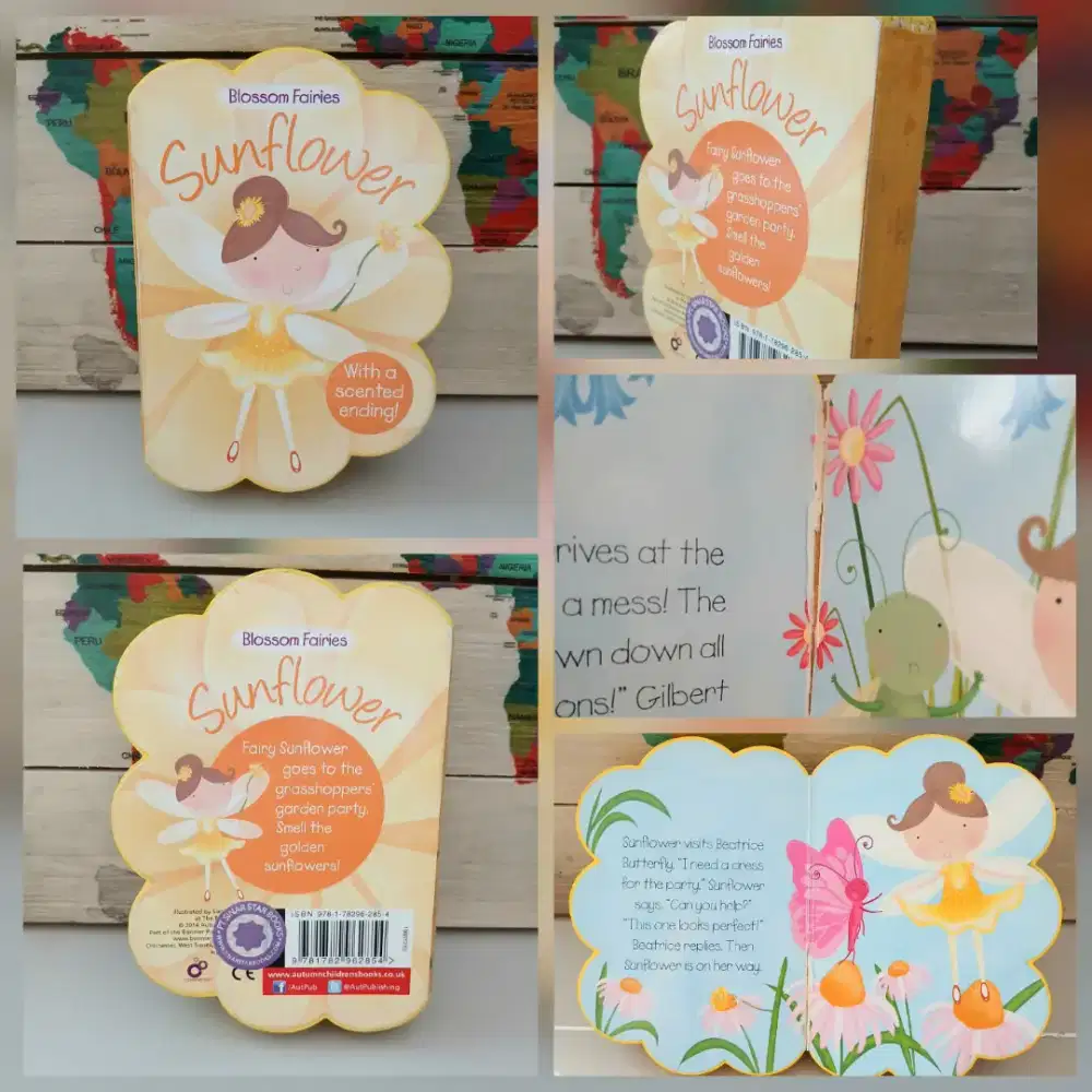 Buku cerita anak Blossom Fairies Sunflower bhs inggris, preloved