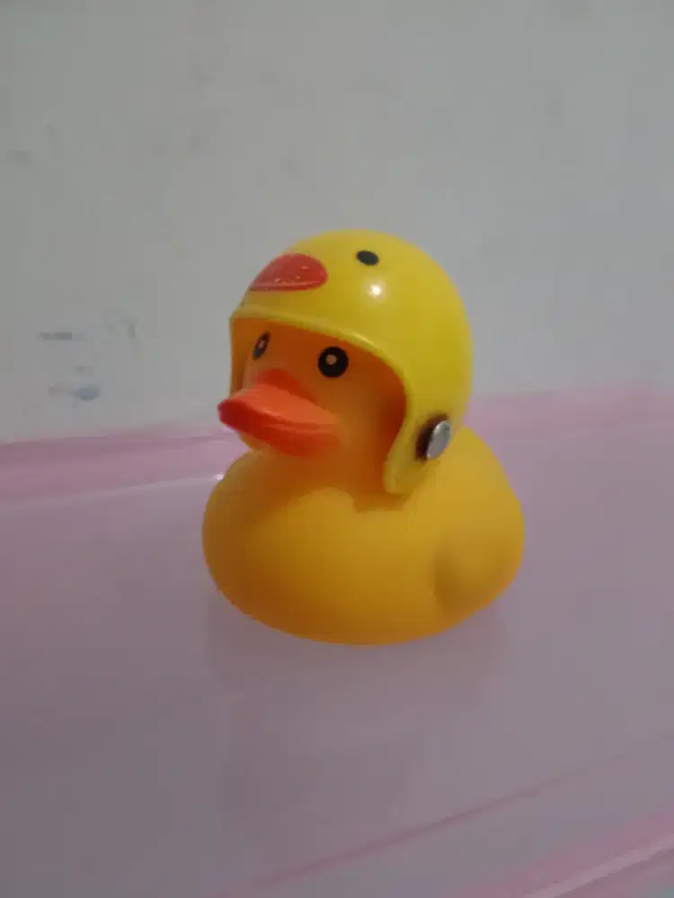 mainan bebek pakai helm