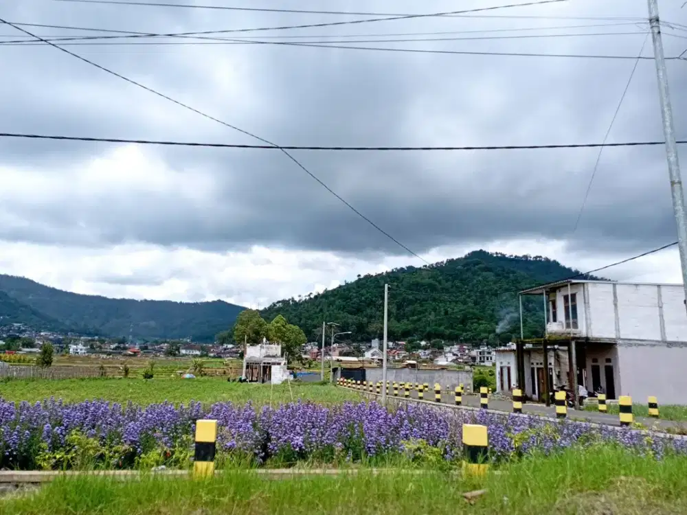 Instrumen Investasi Paling Aman 3 Unit Terakhir Dekat Kawasa Wisata Batu Villa Pitu Metro