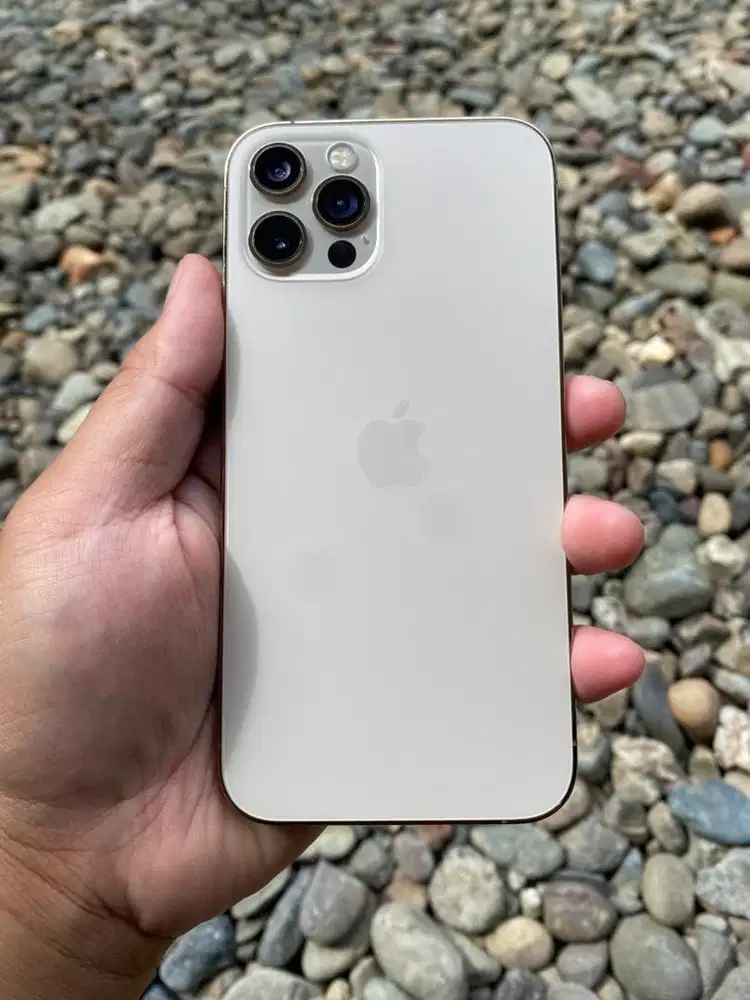 iPhone 12 Pro 128gb Inter