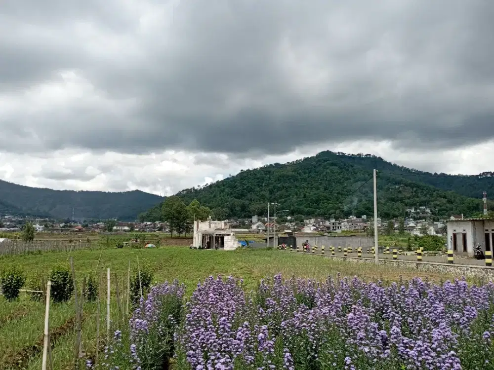 Garansi Pendapatan Pasti Villa Pitu Metro Pemandangan Panorama Pegunungan