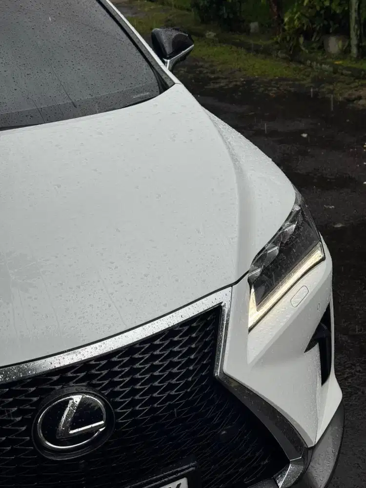 Lexus Rx300 2018 Fsport white on black