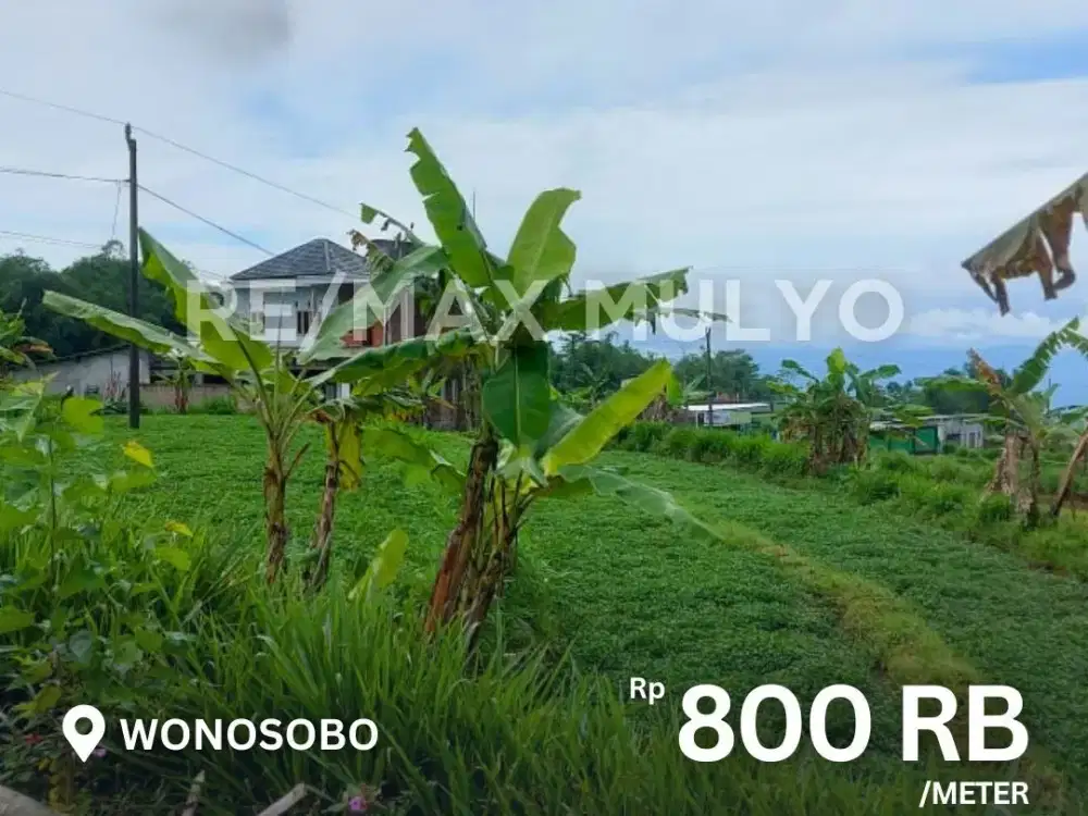 Dijual Tanah Area Wonosobo, Akses Air Mudah dan Dekat Tempat Wisata