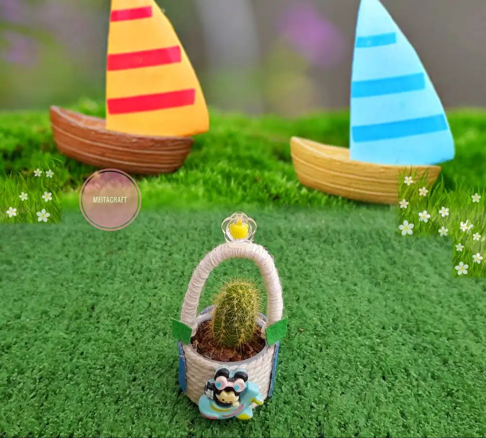 Kaktus Golden Ball & Pot Model Jendela