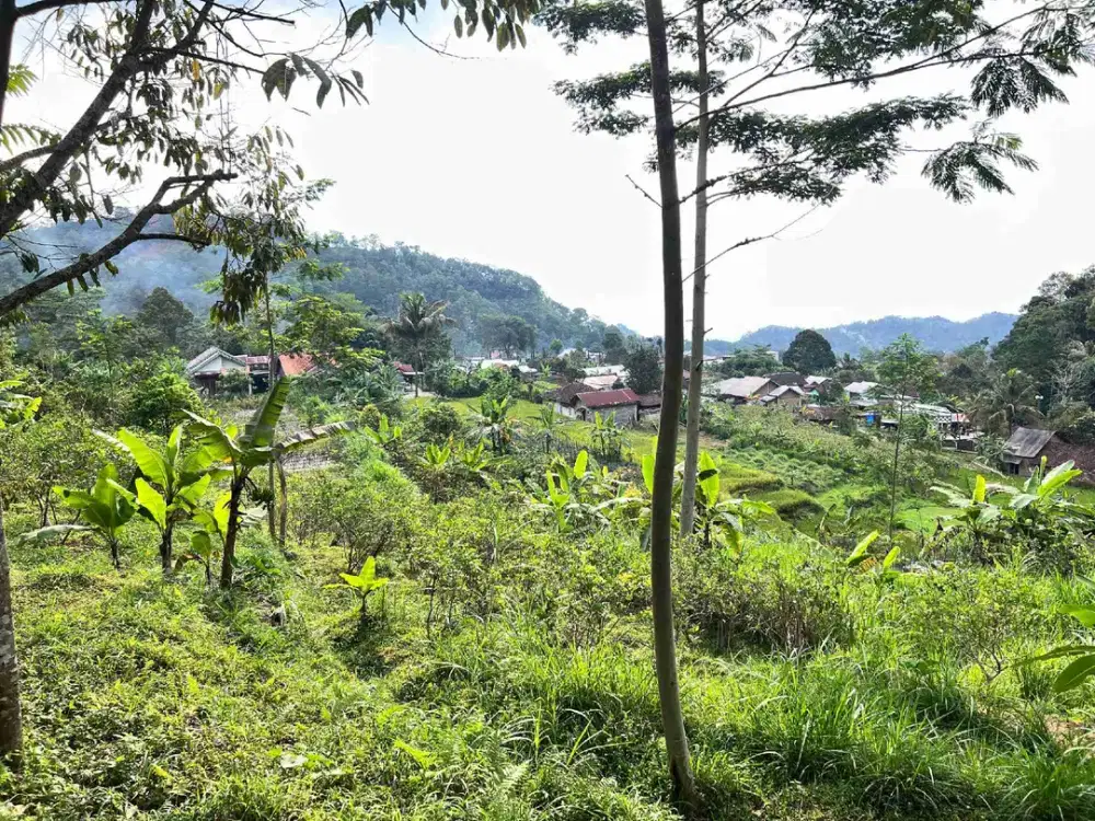 Dijual Tanah View Bagus – cocok Villa / Homestay Luas 539m2 Lokasi Karanganyar