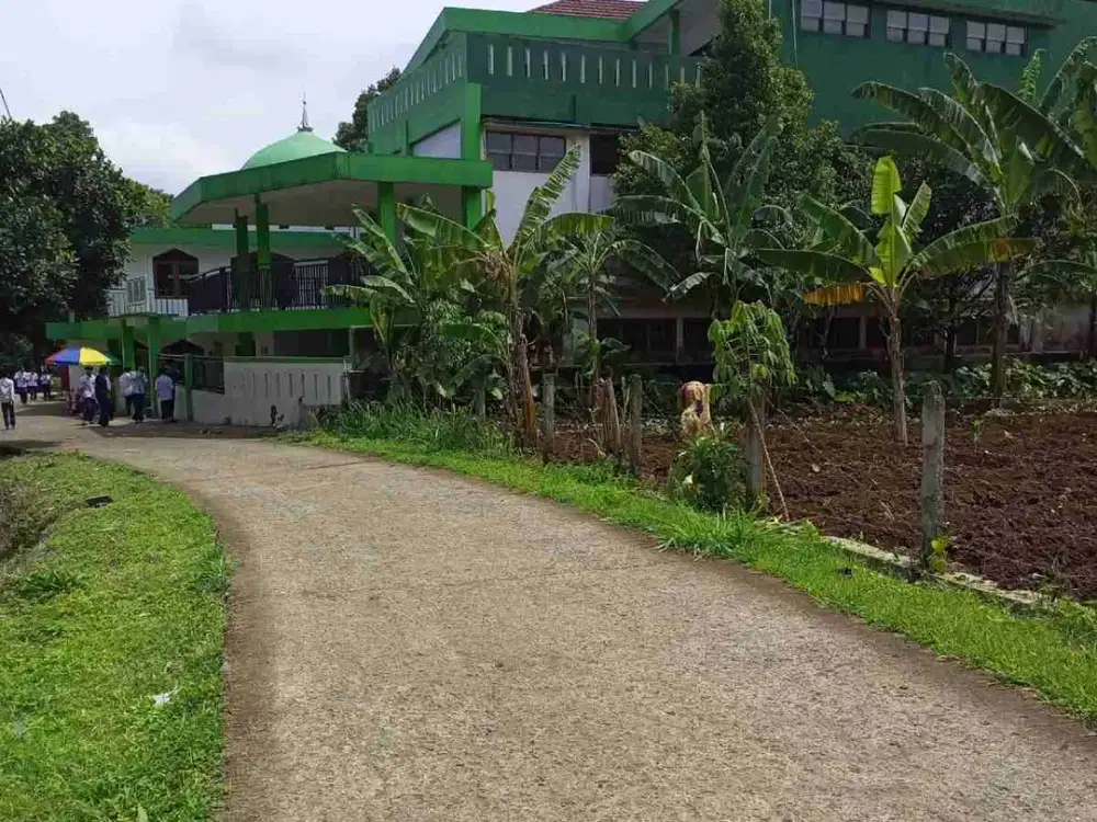 DIJUAL CEPAT TANAH PINGGIR JALAN PAKALADEN CIJERUK BOGOR