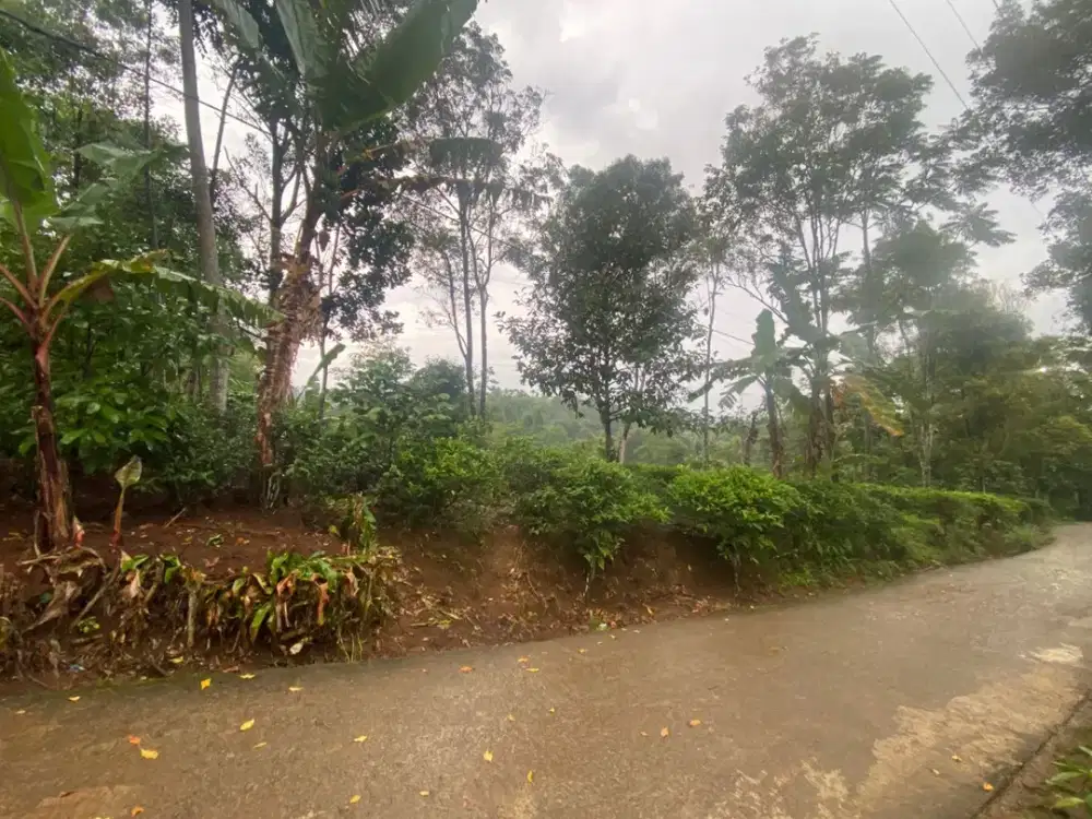 Dijual Murah Tanah Kebun Pinggir Jalan Desa di Bojong Purwakarta