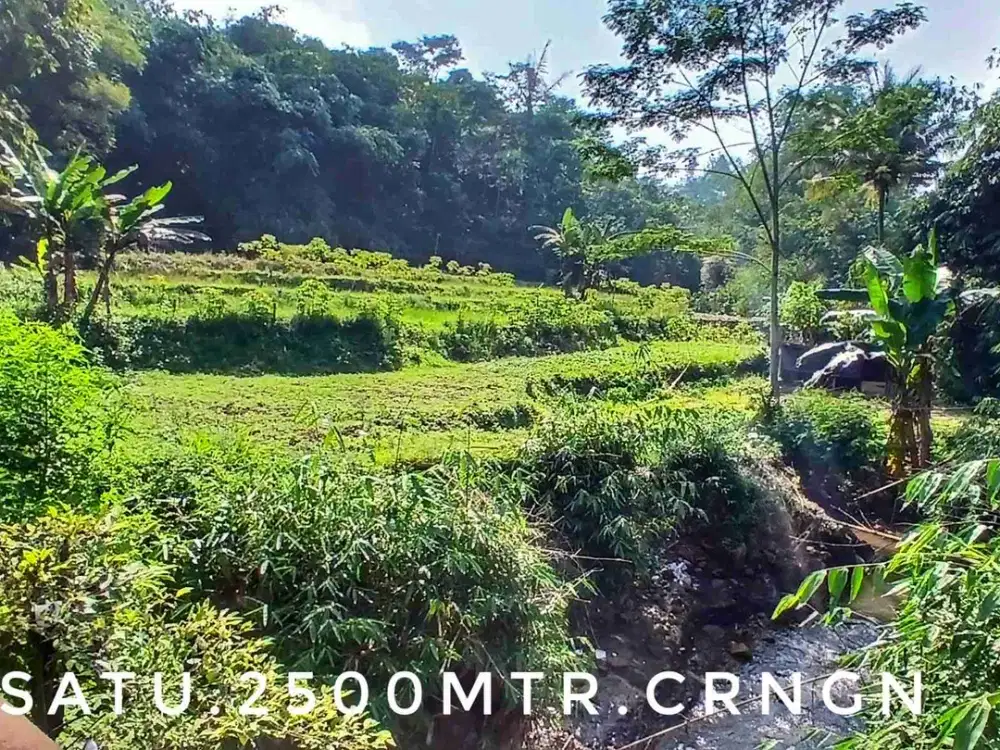 Dijual tanah luasl subur pinggir jalan view sungai dan sawah dekat exit tol