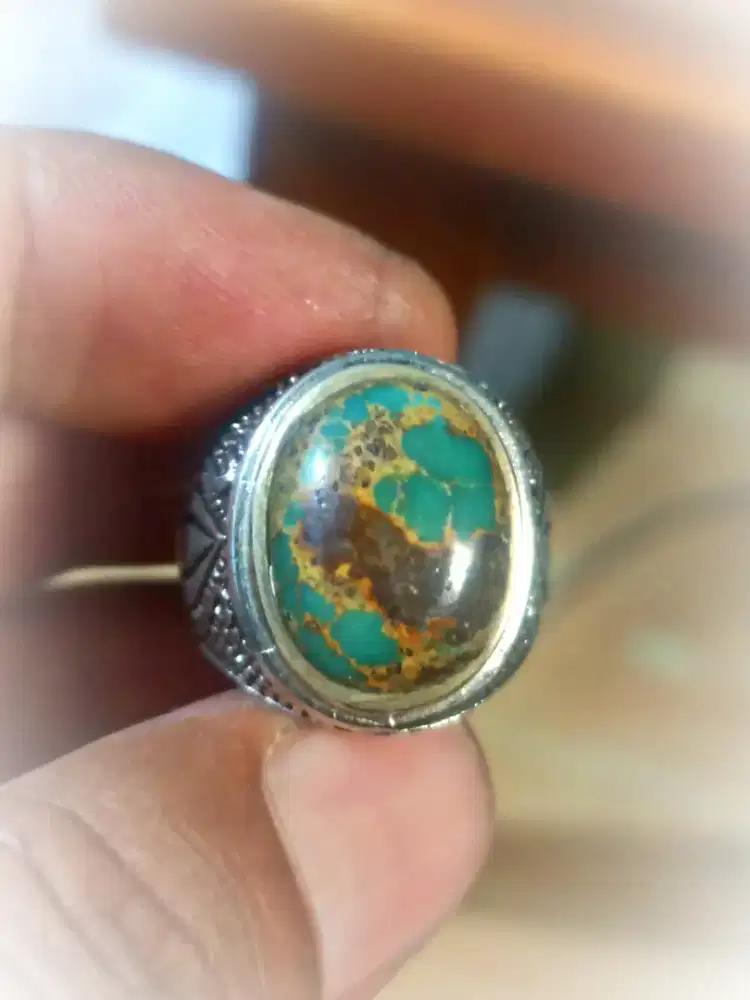 Pirus Persia ijo Dondong