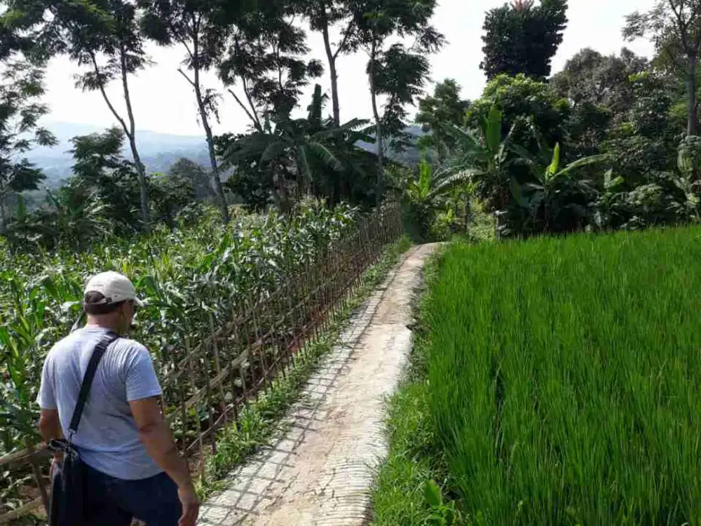 DIJUAL TANAH SHM HARGA MURAH DI JL. PAKALADEN CIJERUK BOGOR