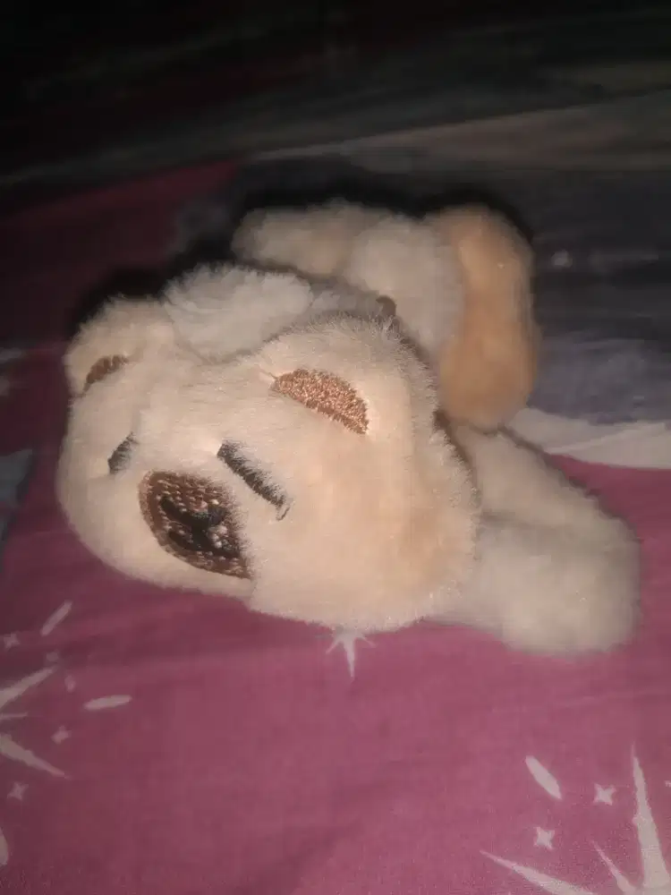 Jepit rambut karakter anjing