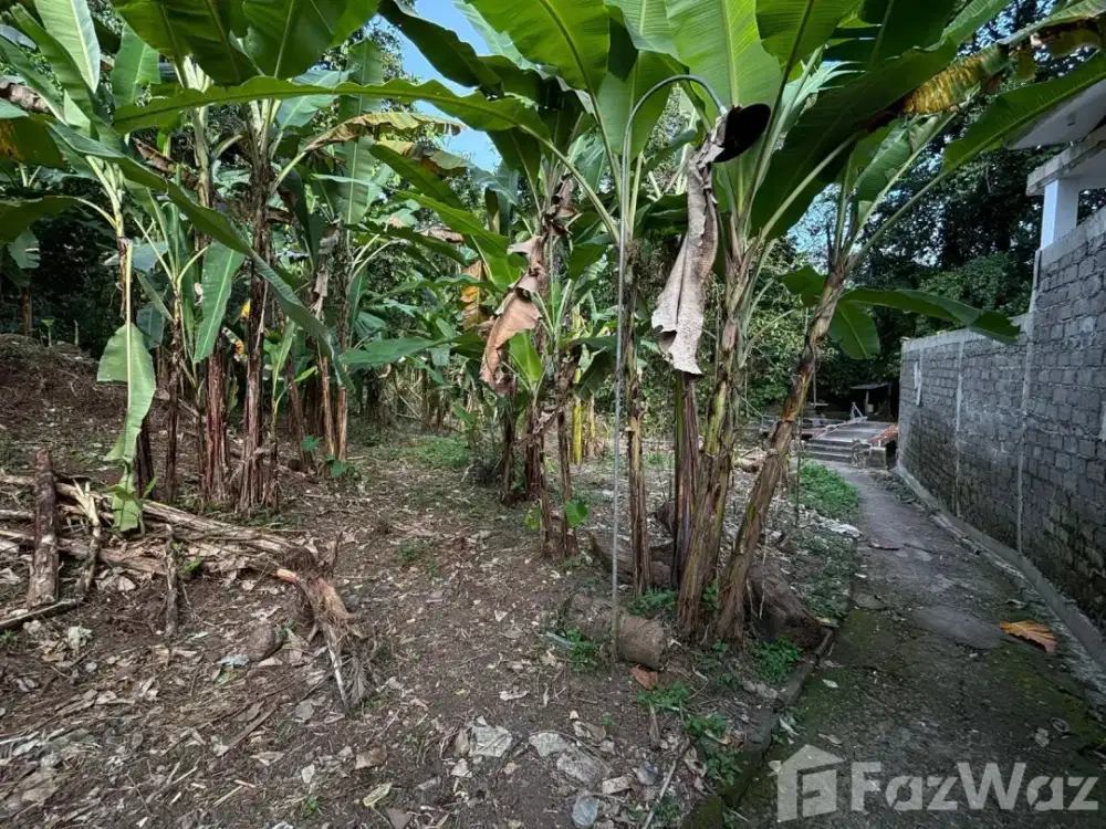 Land for sale in Mengwi, Bali