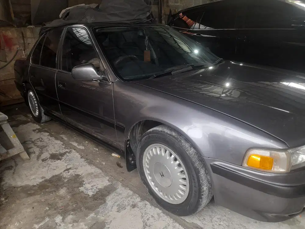 Honda Accord Maestro karbu