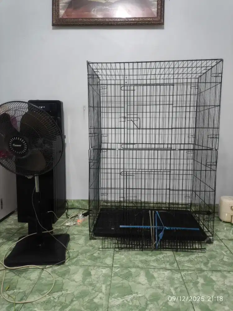 Kandang kucing tingkat