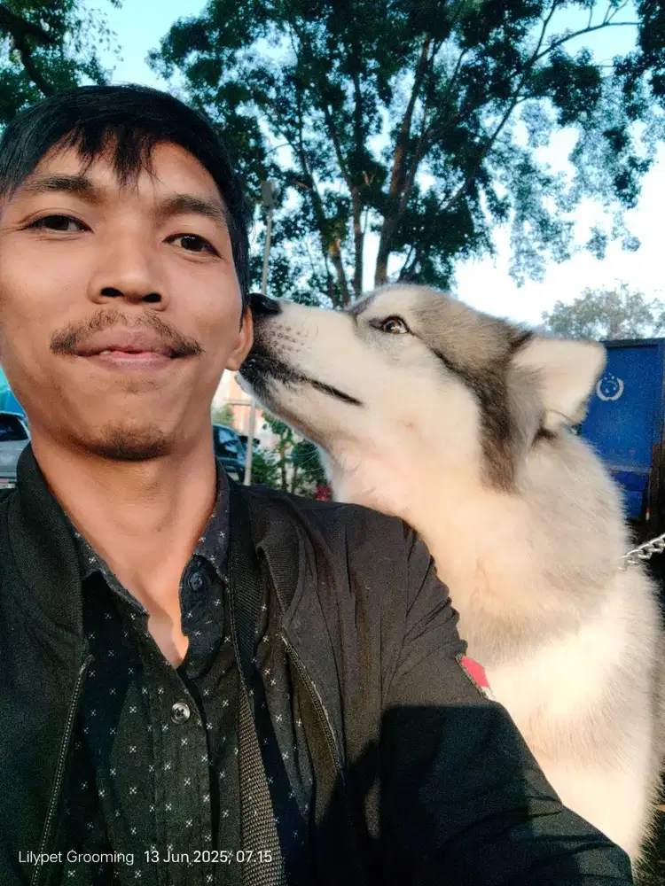 Pet grooming pet hotel steril dan vaksin