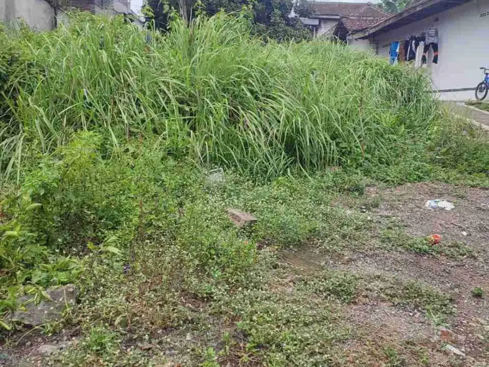 Dijual tanah dekat UNEJ Bondowoso