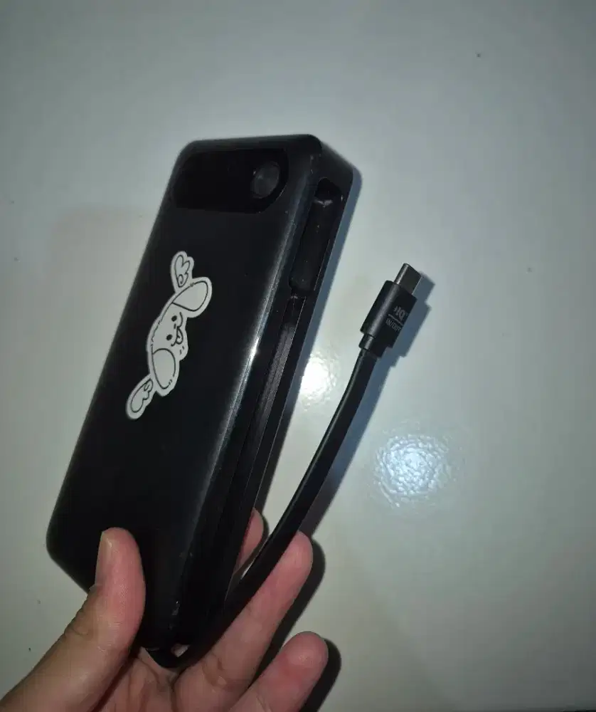 Anker Powerbank 20,000 mAh