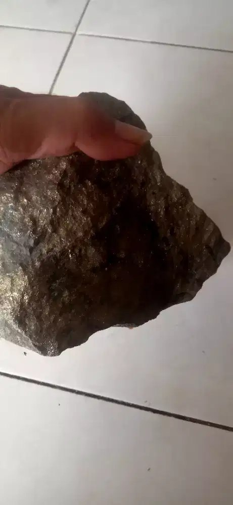 Batu emas asli tambang