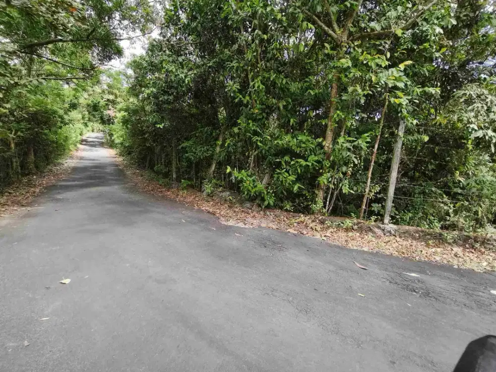 dijual tanah 20.960m² dekat Nirmala Pecatu Kuta Selatan Badung Bali