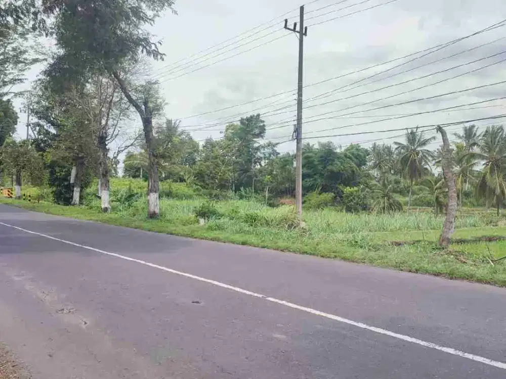 Dijual tanah di Maesan Bondowoso