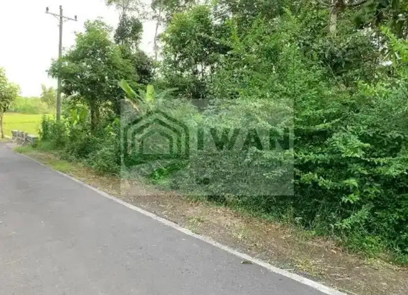 Tanah Kering/Pekarangan Hadap Jalan Lebar Dilewati Air View Bagus