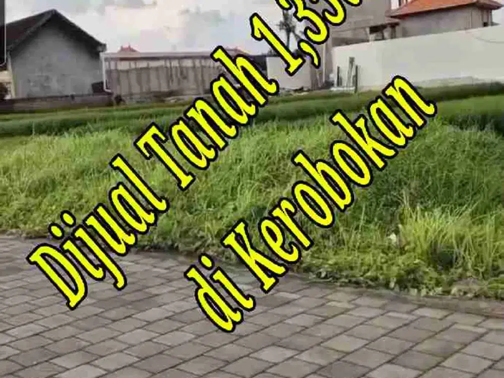 Dijual tanah 1,35a di Jln Tanah Sampi Kerobokan Bali