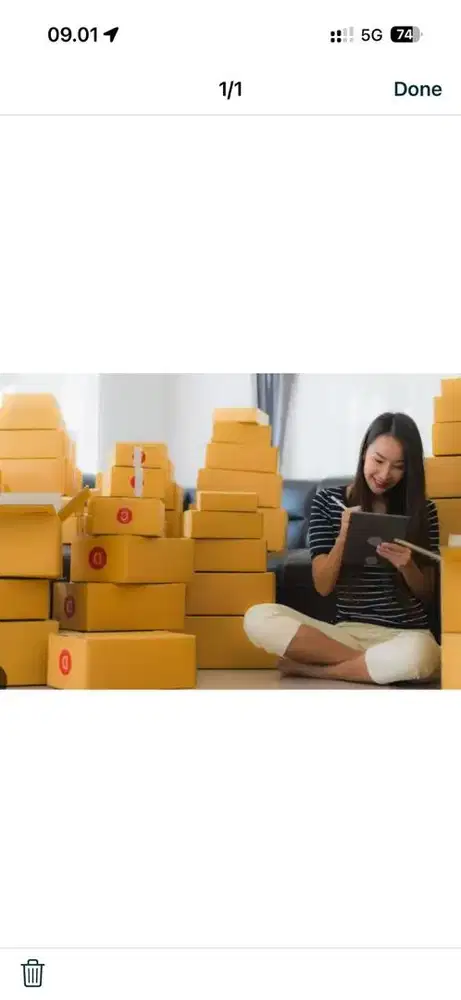 PACKER DAN LIVE ADMIN