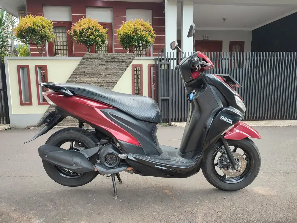 FREEGO TAHUN 2019 PAJAK HIDUP