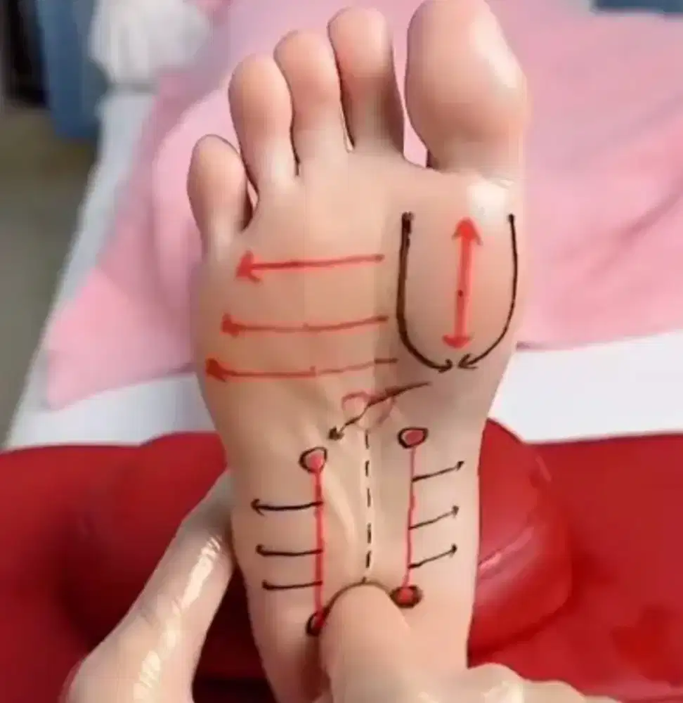 Dicari terafis pria dan wanita