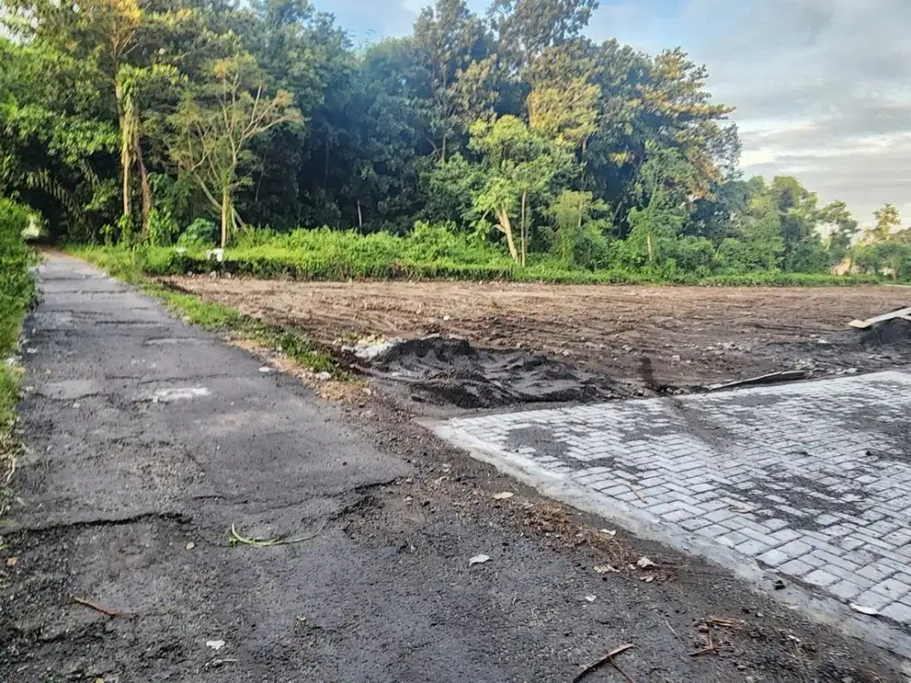 Jl. Pandanaran Sleman Tanah Dijual Jogja Untuk Villa Dekat Al-Azhar Cairo