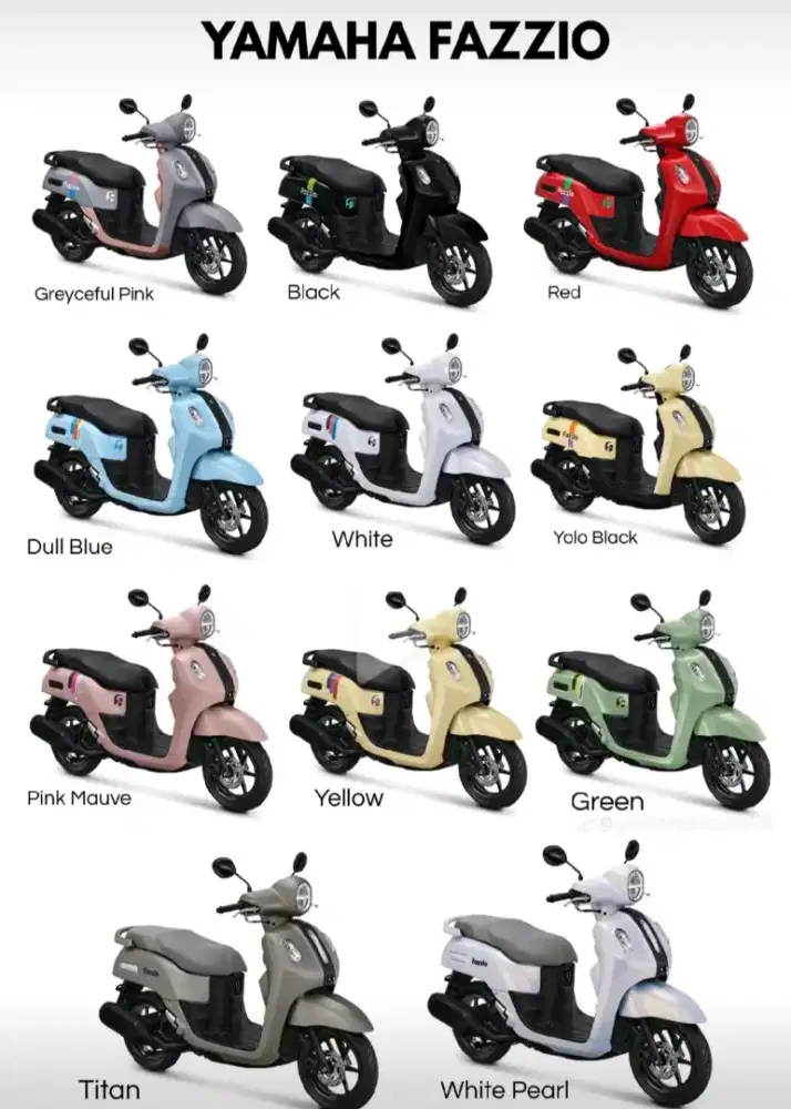 Fazzio hybrid standard