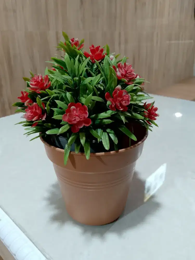 HSC 2025 - Barang Bekas, Naik Kelas! | Pot Bunga