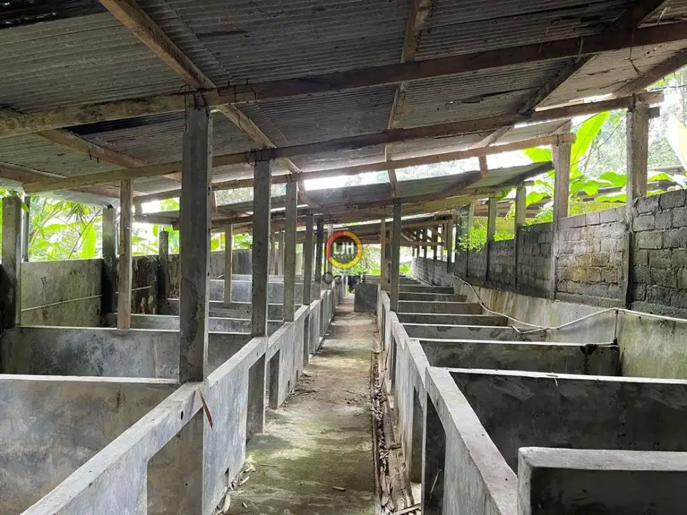 Kavling DS Watuagung Tuntang Salatiga Jawa Tengah