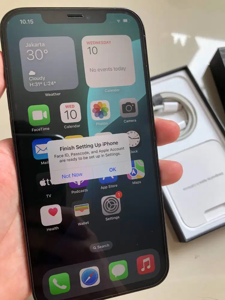 iPhone 12 Pro Max 256gb ISTIMEWA Pemakaian Pribadi Fisik 97%