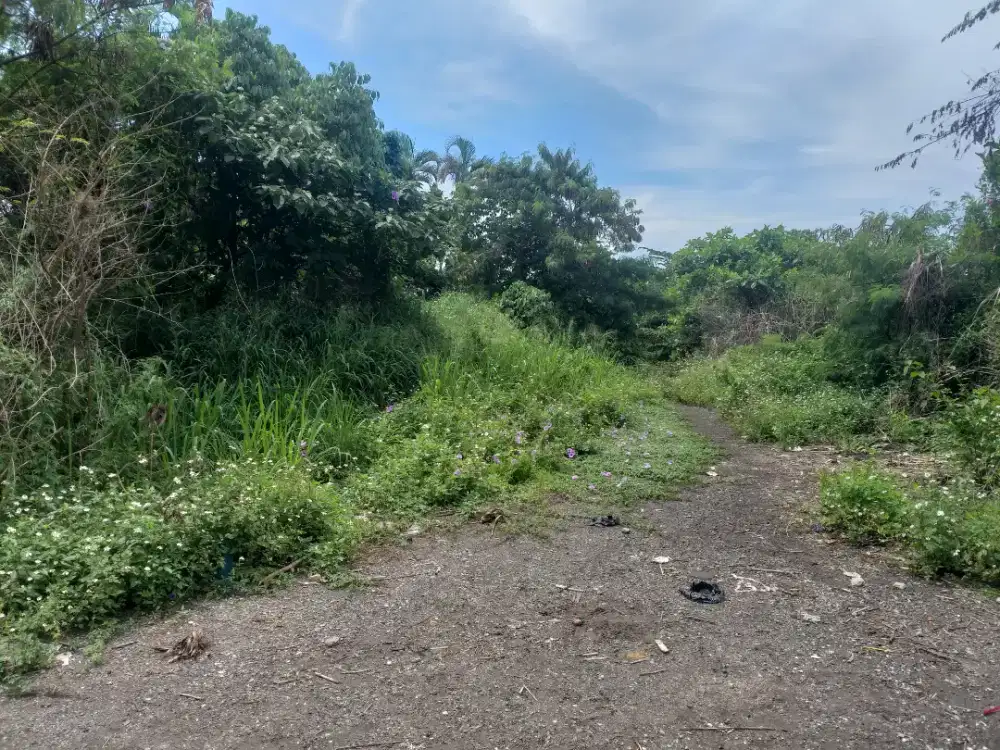 Dijual tanah 5000m2 utk gudang/industri Jl. Kopo Katapang