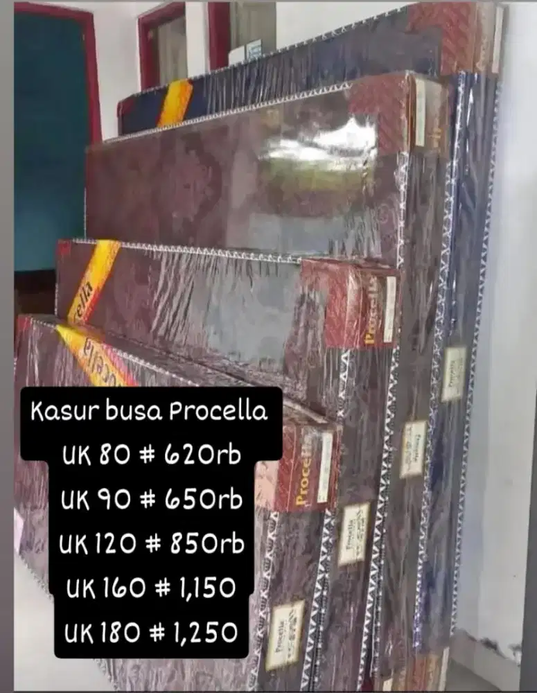 Kasur busa procella